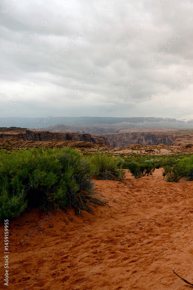 Naklejka premium Trail to Horse Shoe Bend Arizona