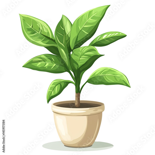 Wallpaper Mural Lush green houseplant in a beige pot sitting on a small saucer Torontodigital.ca