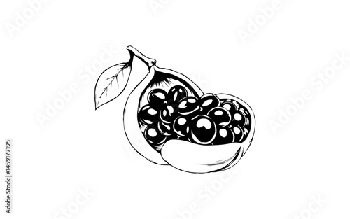  Blighia Fruit Unfolded AI Vision