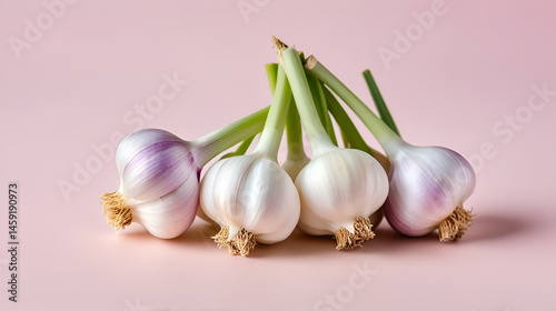 Macro closeup shot of tiny glomus headed bulbs of spring planted garlic on a isolated pastel background Copy space