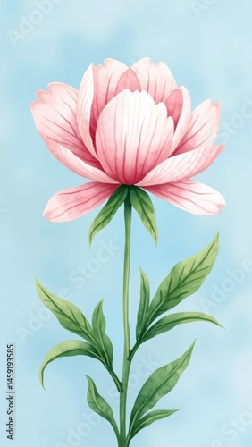 A single pink water lily blossom with green leaves on a blue background
