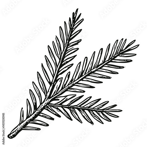 Spruce Tree Item 7