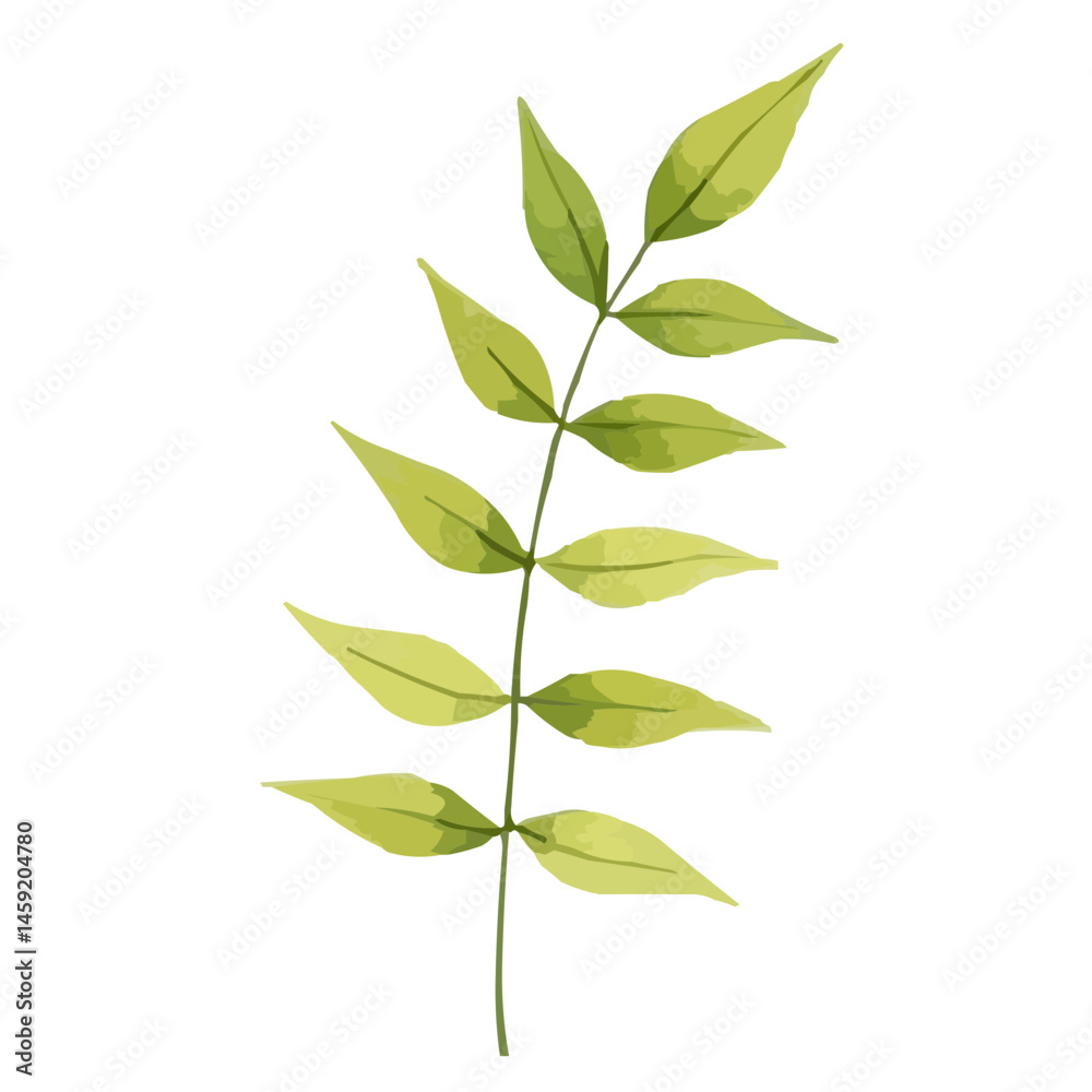 Fototapeta premium green leaves watercolor