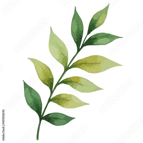 green leaves watercolor