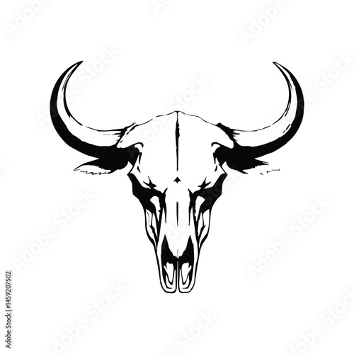 Buffalo head bone isolated on white background. Buffalo head skeleton with long horn isolated