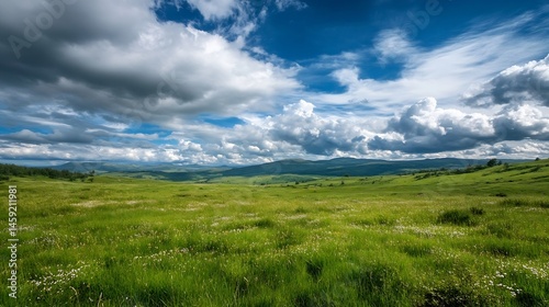 Serene landscape photo of a vast green meadow dotted with wildflowers, under a dramatic sky filled with fluffy white and dark grey clouds, rolling hills in the background. : Generative AI