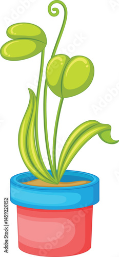 Plant in a pot in cartoon
