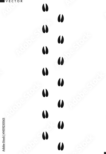 Deer footprints vector. Animal footprints