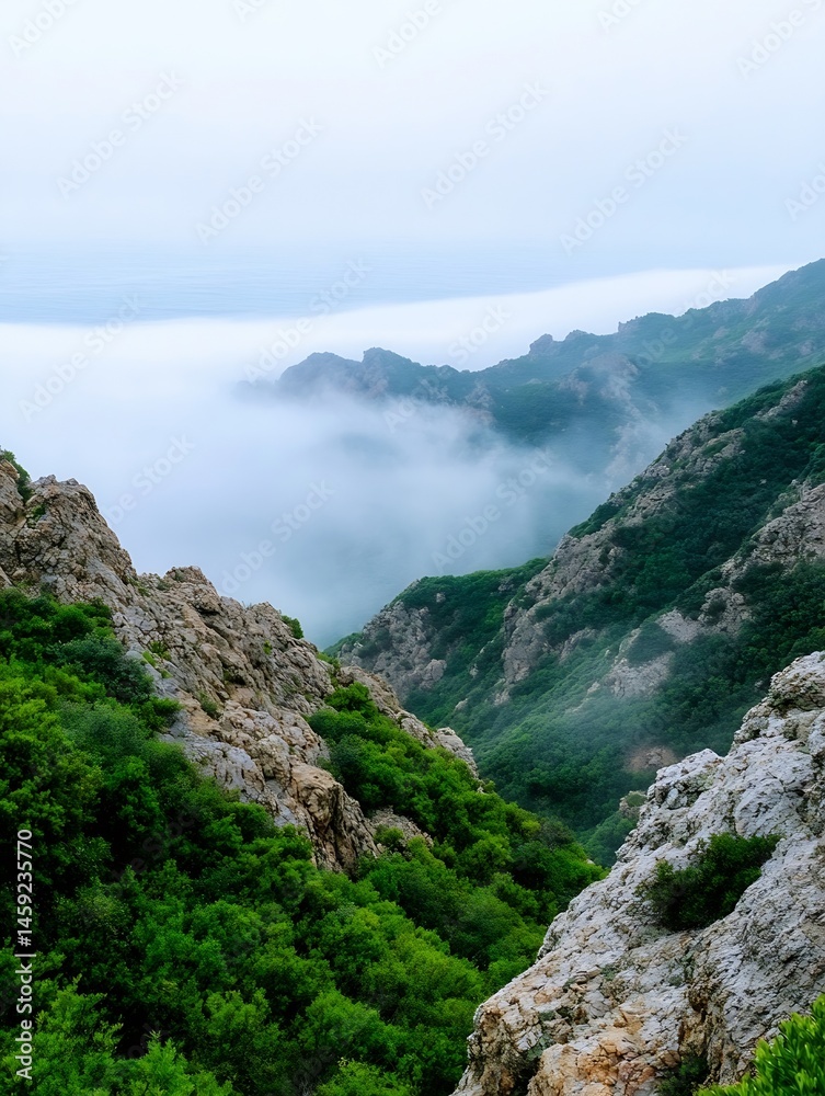 Fototapeta premium Misty mountain valley landscape, showcasing rugged rock formations and lush green vegetation, with a layer of fog or clouds in the distance, creating a serene and atmospheric scene. : Generative AI