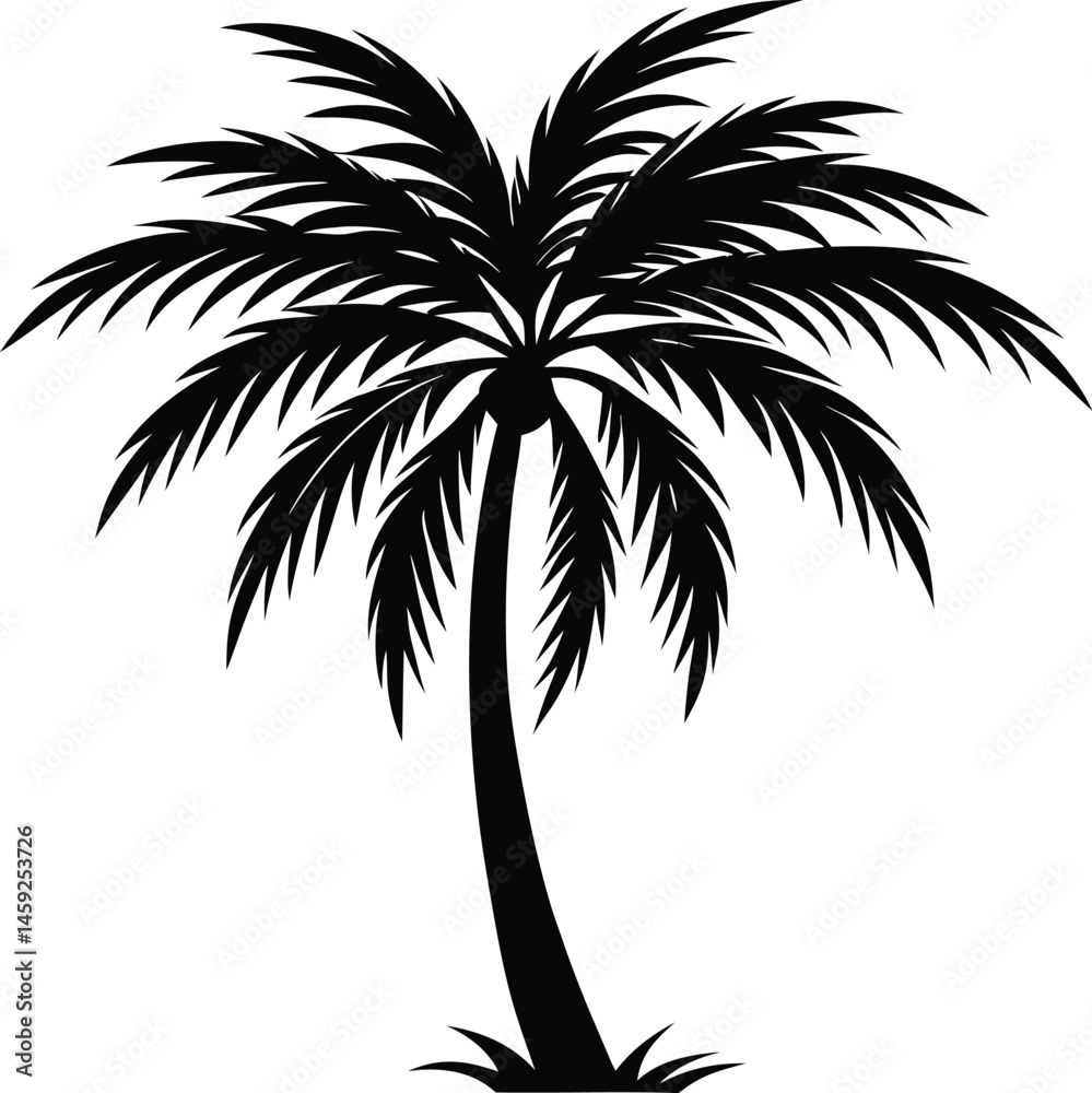 Obraz premium palm tree silhouette 