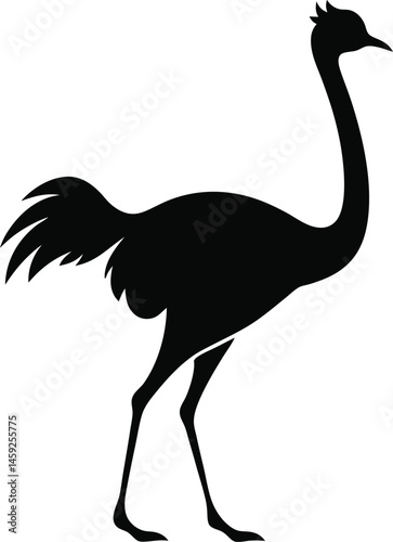 minimal ostrich bird vector silhouette
