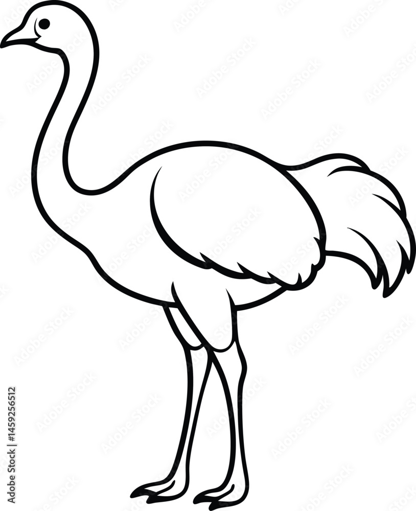 Obraz premium minimal ostrich bird vector silhouette