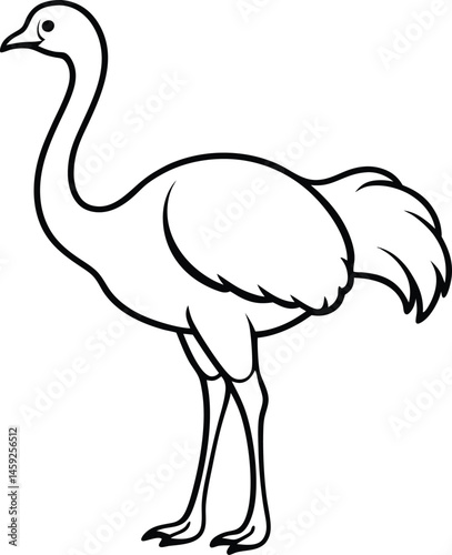 minimal ostrich bird vector silhouette