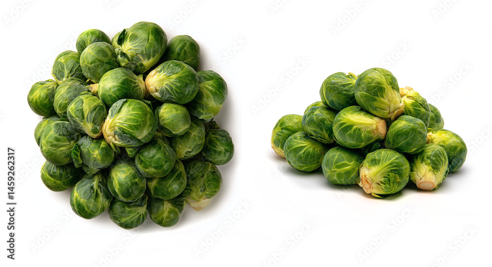 Fototapeta premium _Brussels_sprouts_on_white_background
