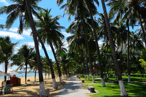 Fototapeta Naklejka Na Ścianę i Meble -  
Nha Trang Beach Vietnam. Overlooking the beautiful coast of Nha Trang with palm trees on the beach. Beautiful white sand tropical beach in the coastal city on the Shores of the South China Sea.
