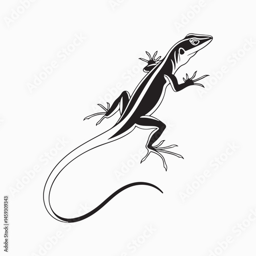 green anole lizard vector