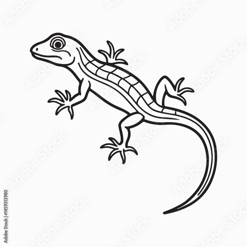 green anole lizard vector