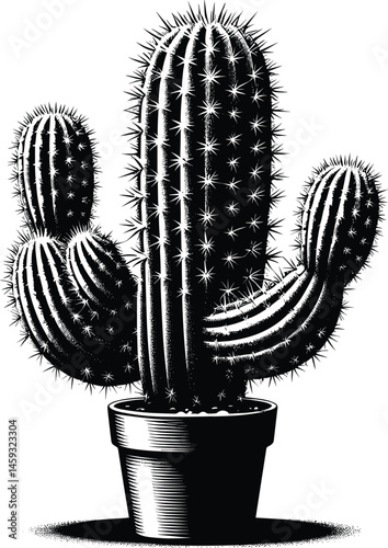  Cactus Silhouette Vector Illustration with Realistic Needles