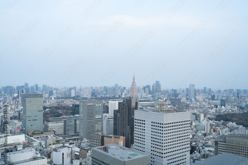 Fototapeta premium 東京都庁第一本庁舎の北展望室からの眺め