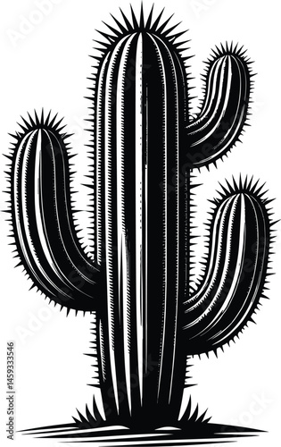  Cactus Silhouette Vector Illustration with Realistic Needles