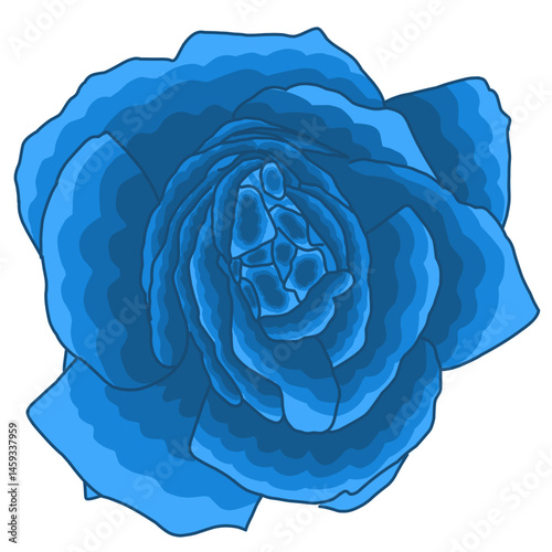 A striking digital illustration of a blue rose with layered petal details and bold outlines, set against a white background