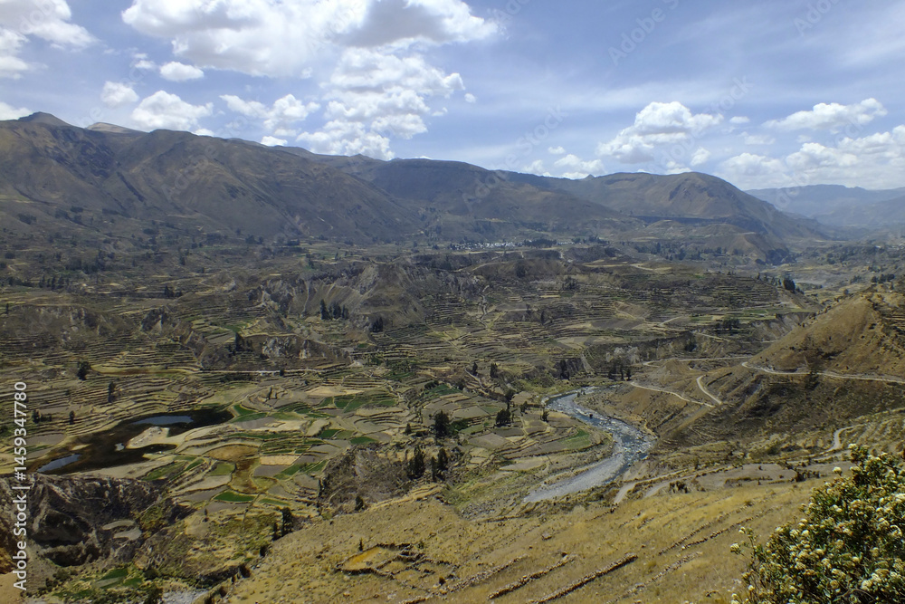 Fototapeta premium View of the deep Colca Canyon, one of the most beautiful in the world, located in the city of Arequipa in Peru