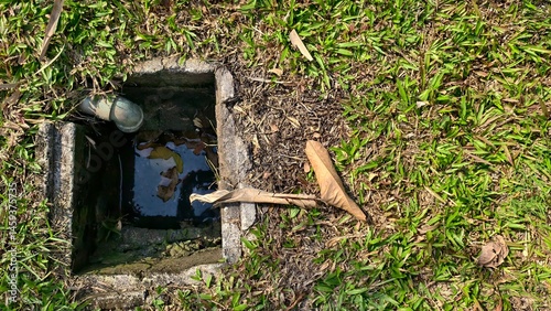 Small Drain Opening Surrounded by Green Grass and Leaves in a Natural Outdoor Environment