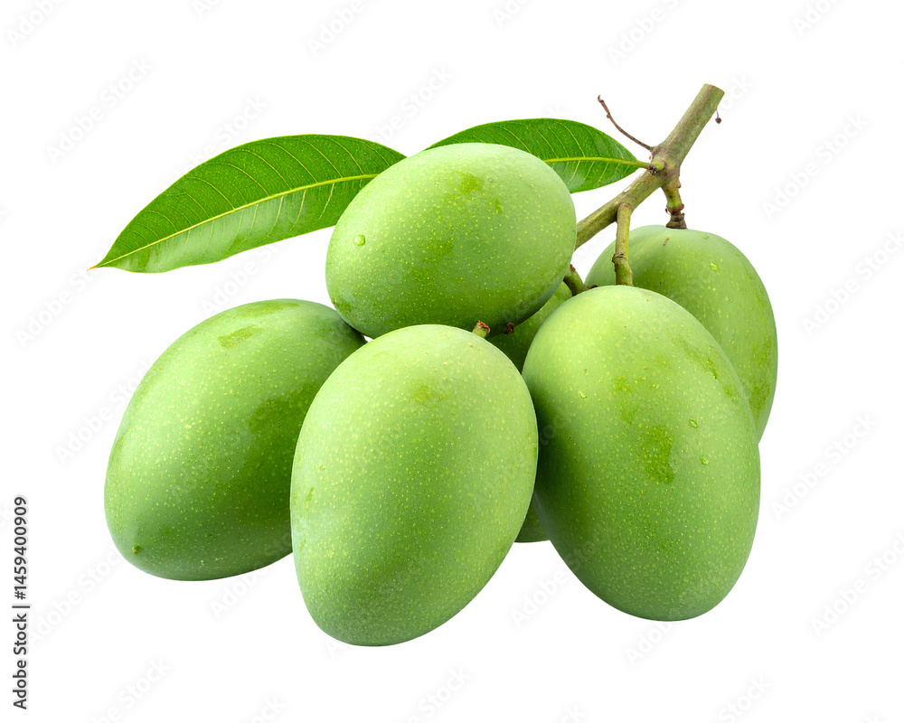 Obraz premium Green Raw Mango PNG, Organic Tropical Fruit with Transparent Background 