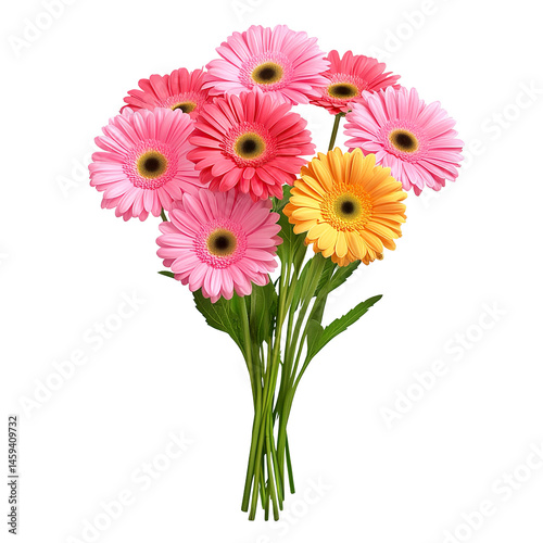 Beautiful bouquet of gerbera flowers isolated on transparent background.