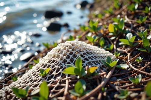 Discarded Fishing Net and Plastic Debris Heavily Entangled in Coastal Vegetation Near High Tide Line, Highlighting Marine Pollution Impact photo