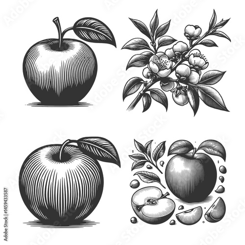 apples, blossoms, and sliced fruit Set collection bundle sketch engraving generative ai vector illustration. Scratch board imitation. Black and white image.