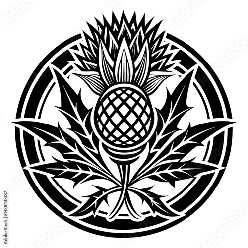 Download Scottish Thistle Vector Art In Celtic Style Vector Art Illustration Eps File For Design.