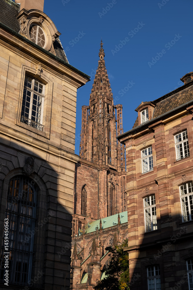 Fototapeta premium Tower of Notre-Dame Cathedral of Strasbourg