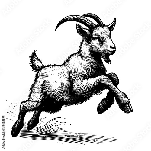 vintage black and white ink illustrations of goat in various poses, isolated on white background, rustic countryside farm style, detailed sketch.