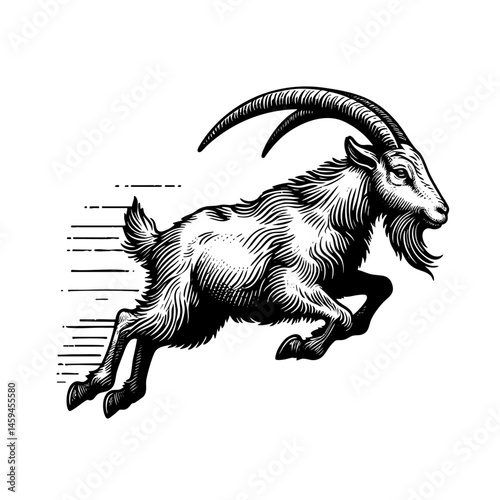vintage black and white ink illustrations of goat in various poses, isolated on white background, rustic countryside farm style, detailed sketch.
