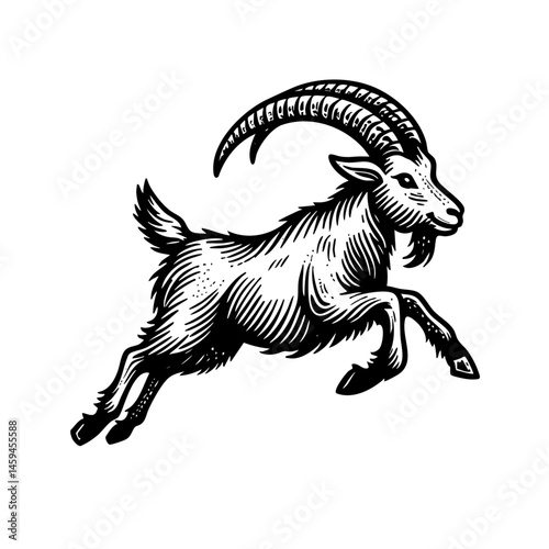 vintage black and white ink illustrations of goat in various poses, isolated on white background, rustic countryside farm style, detailed sketch.