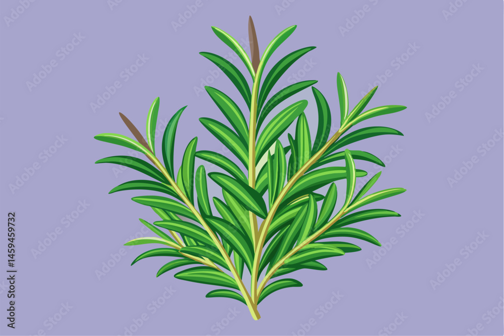 Fototapeta premium vector illustration of a plant