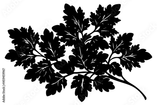 black and white floral vector