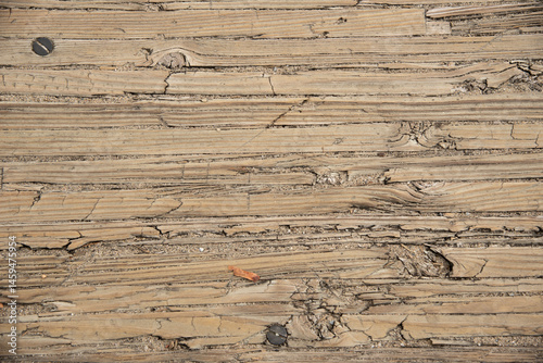 Raw wood board texture