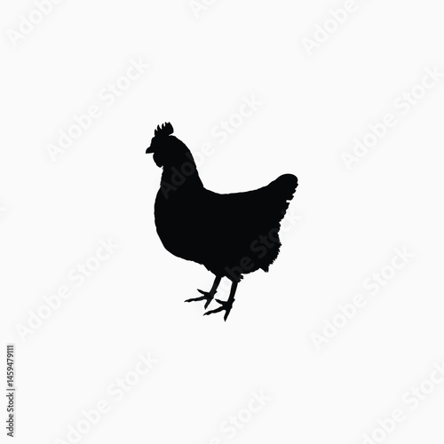 Black silhouette of a chicken on white background. Black farm hen vector silhouette.