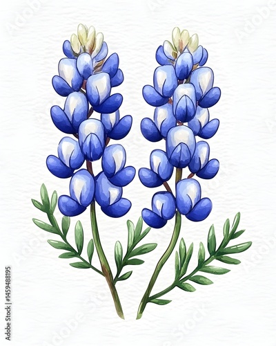 Two vibrant blue lupine flowers with green foliage, depicted in a watercolor style against a white background