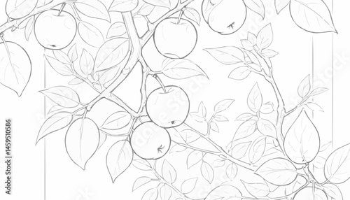 Detailed apple tree branch outline with ripe apples for coloring
