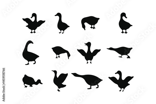 Wild and Domestic Goose Silhouettes Bundle