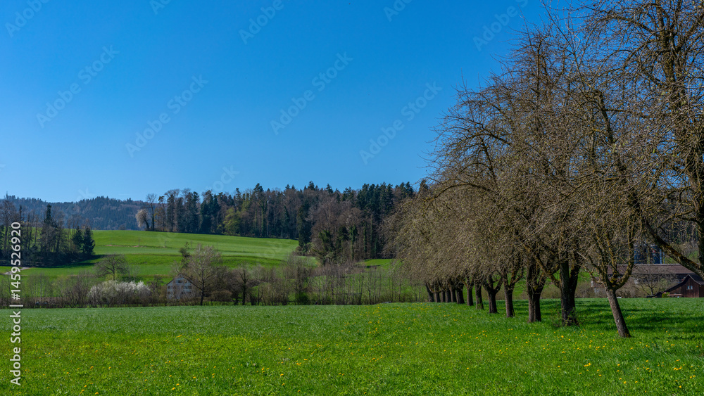 Obraz premium Greifensee - Schweiz