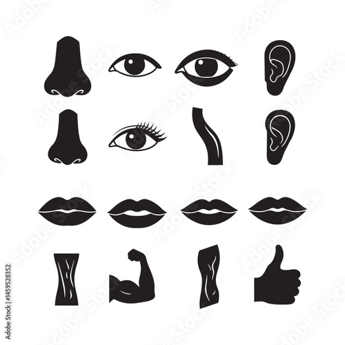 vector set of human internal organs eyes, lips biceps thumbs up icon design illustrations