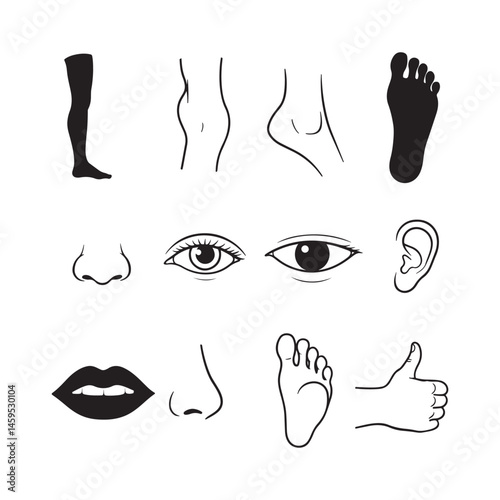vector set of human organs internal body parts eyes, lips biceps thumbs up icon design illustration