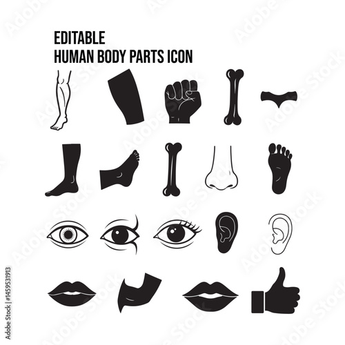 vector set of human internal organs eyes, lips biceps thumbs up icon design illustrations