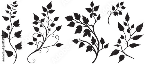 big flower vine silhouette set . silhouette leaves and branches suitable for decorative purposes. vector illustration