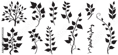 Flower Vine Silhouette vector illustration. Flower Vine Pattern vector