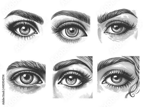 Anatomical Eye Set collection bundle sketch engraving generative ai vector illustration. Scratch board imitation. Black and white image.